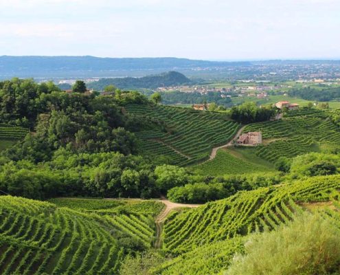 Colline del Veneto