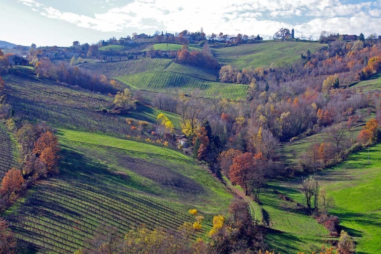 Emilia-Romagna: ricerca di geografia