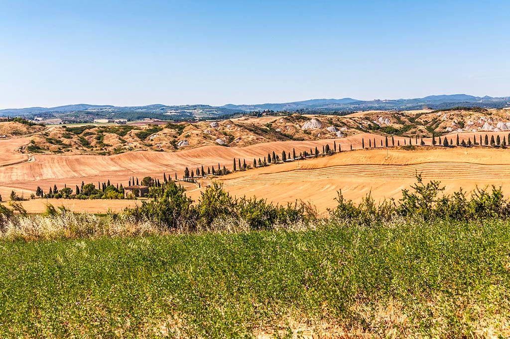 Colline della Toscana con cipressi