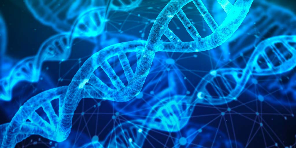 Struttura del nucleo e il DNA