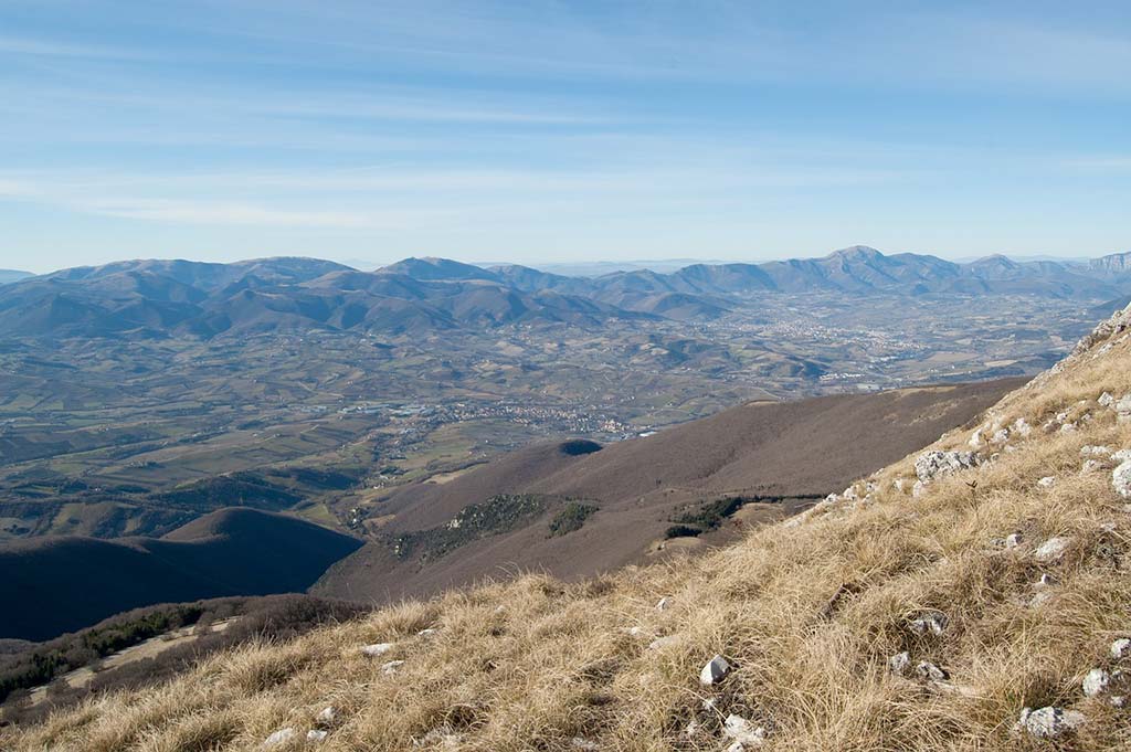 Immagini per ricerca sulle Marche