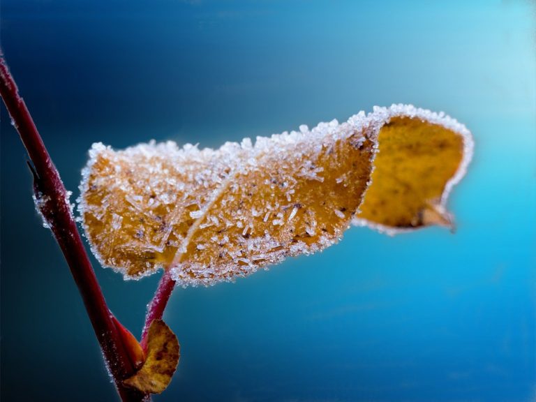 L’inverno è qui di Lucia Pandelli