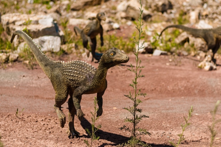 Velociraptor: ricerca per bambini