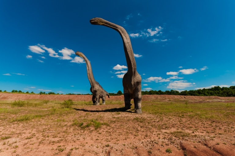 Brontosauro: ricerca per bambini