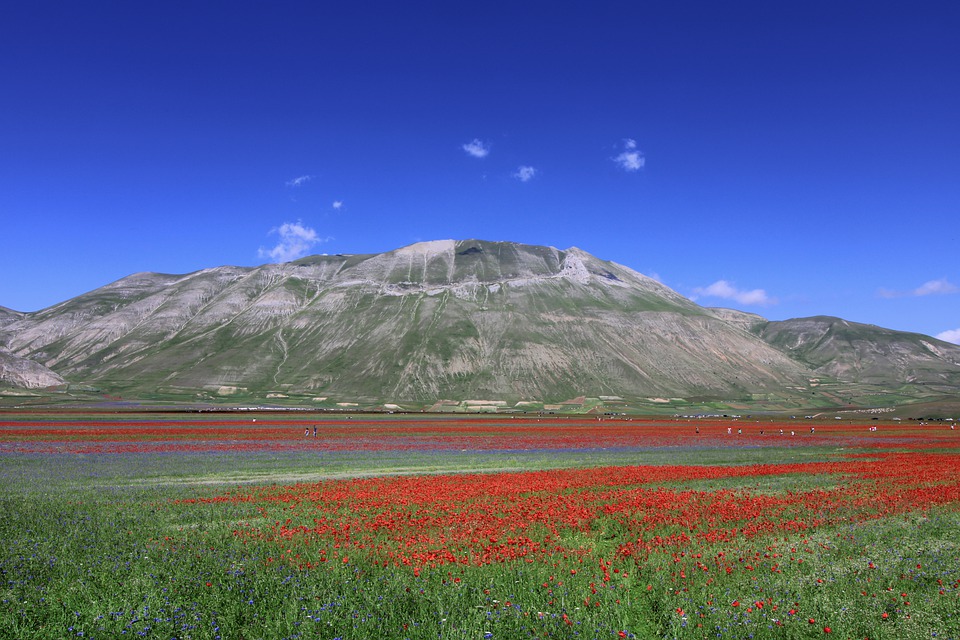 Monte Vettore