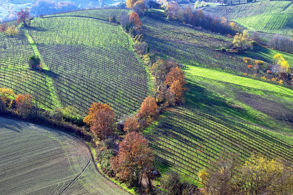 Colline di Langhirano