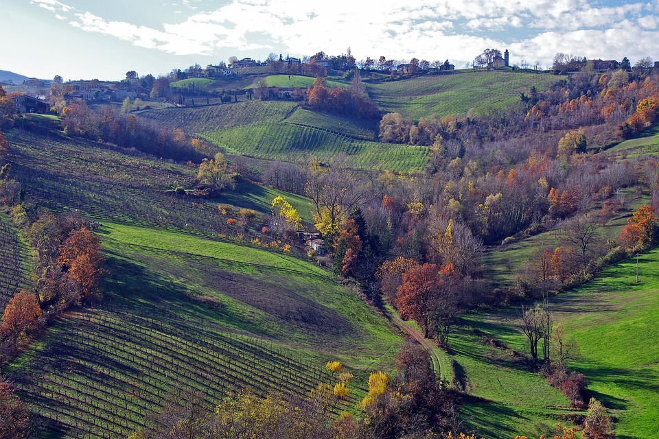 Colline di Langhirano