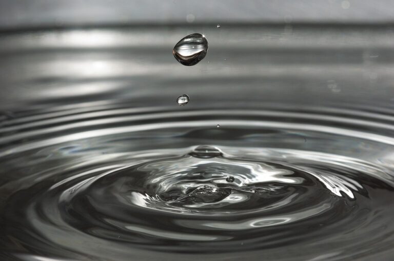 “Ciclo dell’acqua: definizione, fasi e curiosità sul processo naturale”