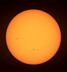 Sole