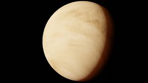 Venere